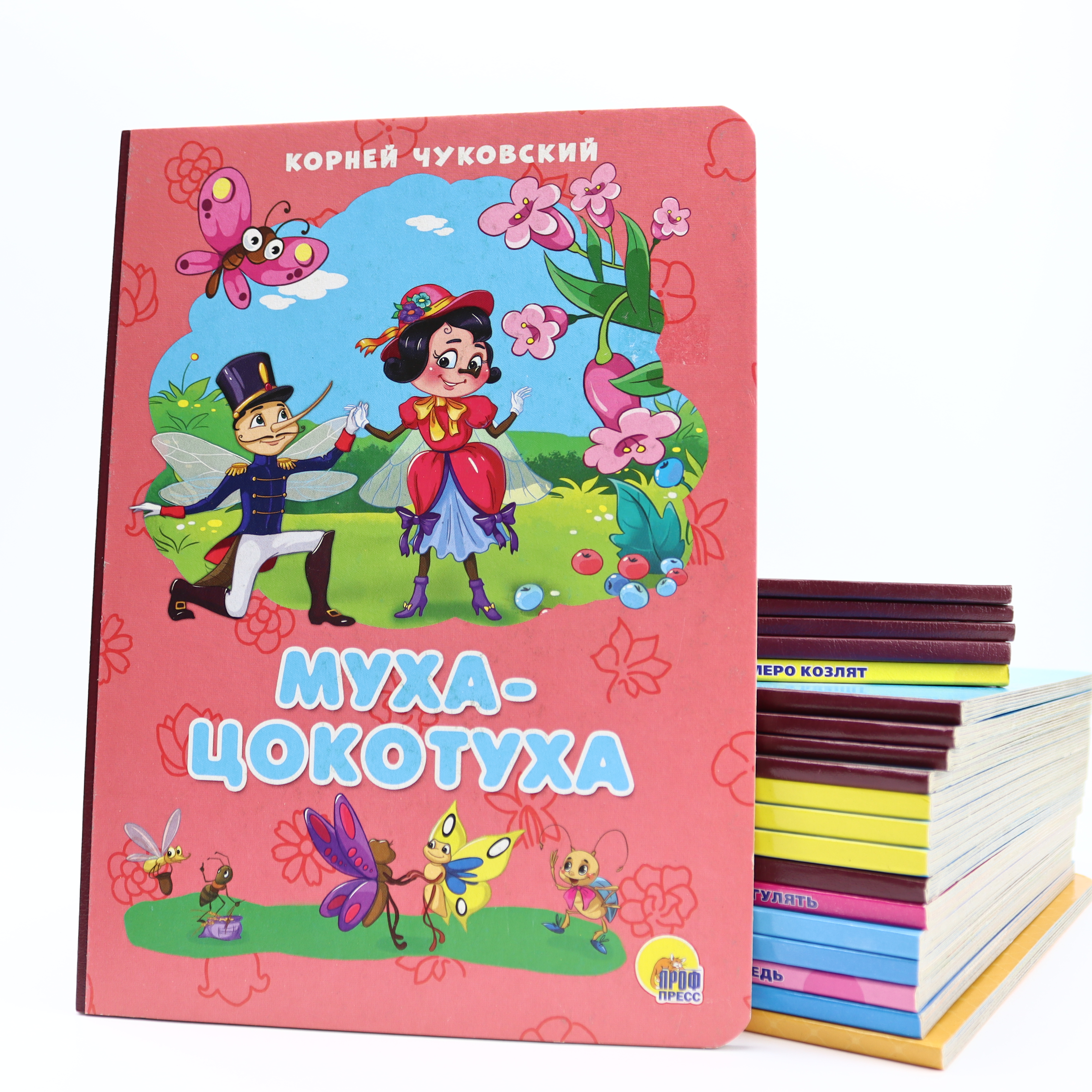 Literaturno-xudojestvennoe izdanie 70*90-16 / Muxa-Sokotuxa