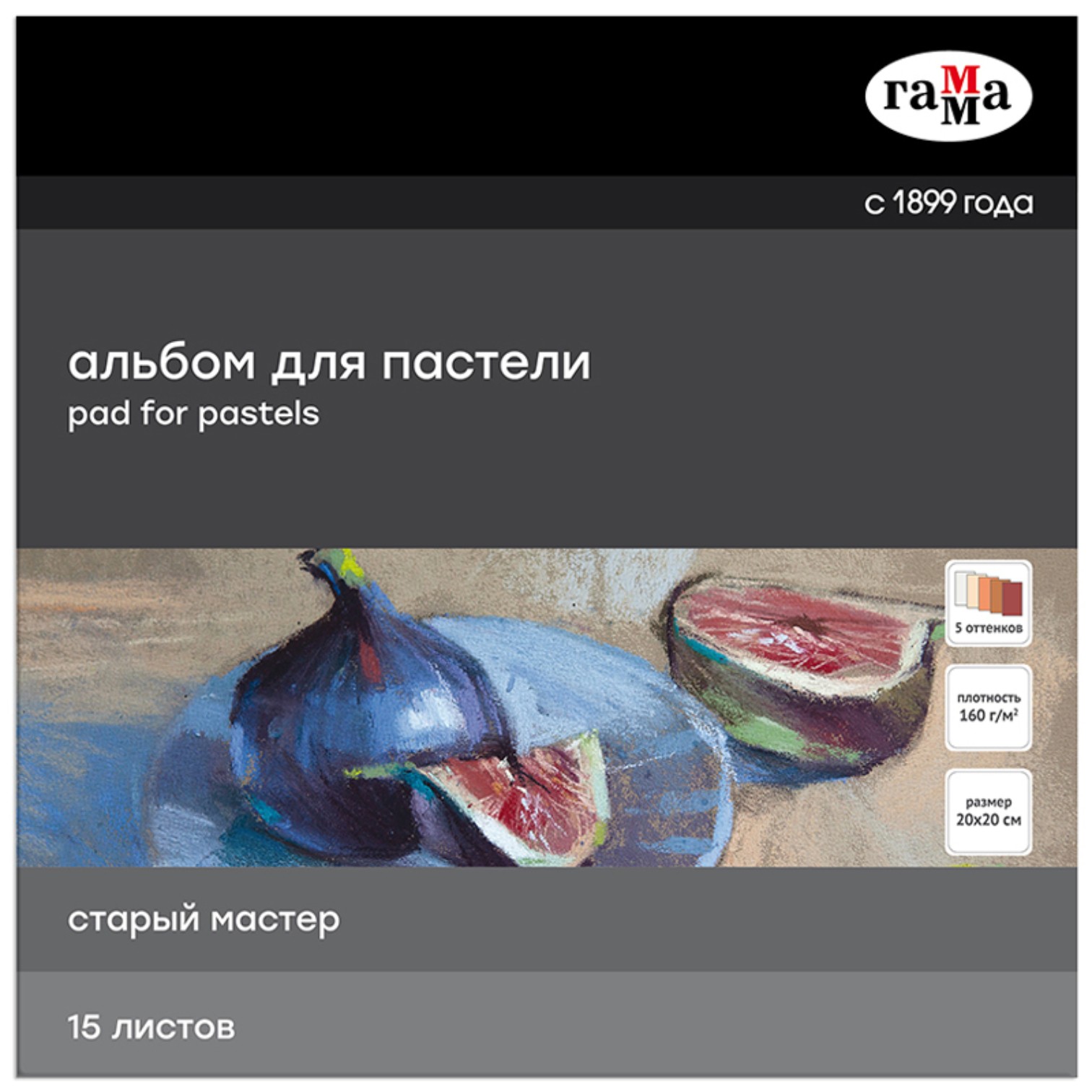 Sketchbook pastel üçün / 200*200 / 15 L / 160 gr / 215520AGRC / Qamma