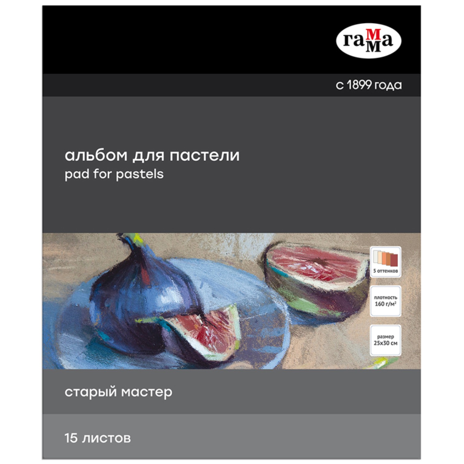 Albom pastel üçün / 250*300 / 15 L / 160 gr / 5 rəng / 215521AGRC / Qamma