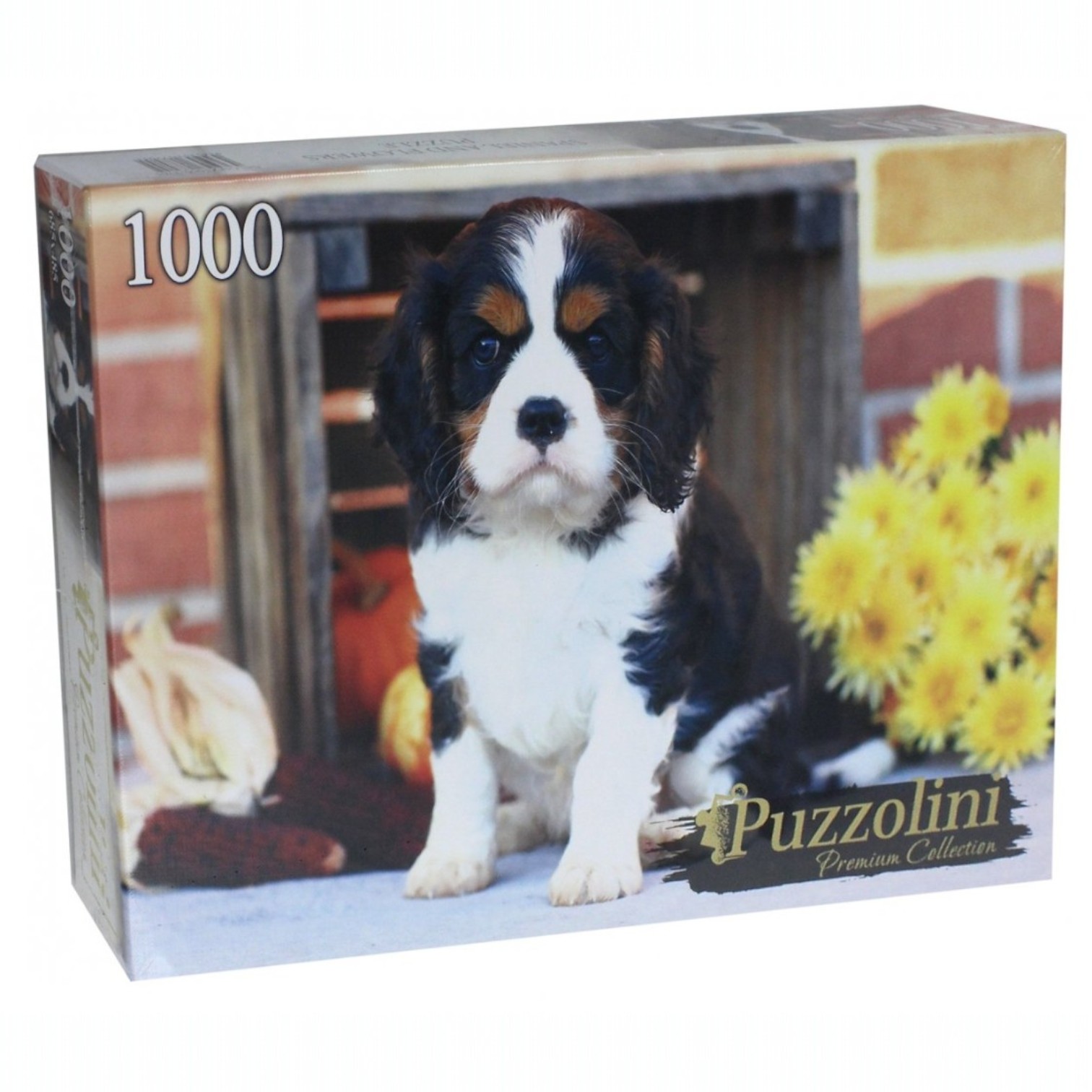 Pazl 1000  Puzzolinni Konikspazlı