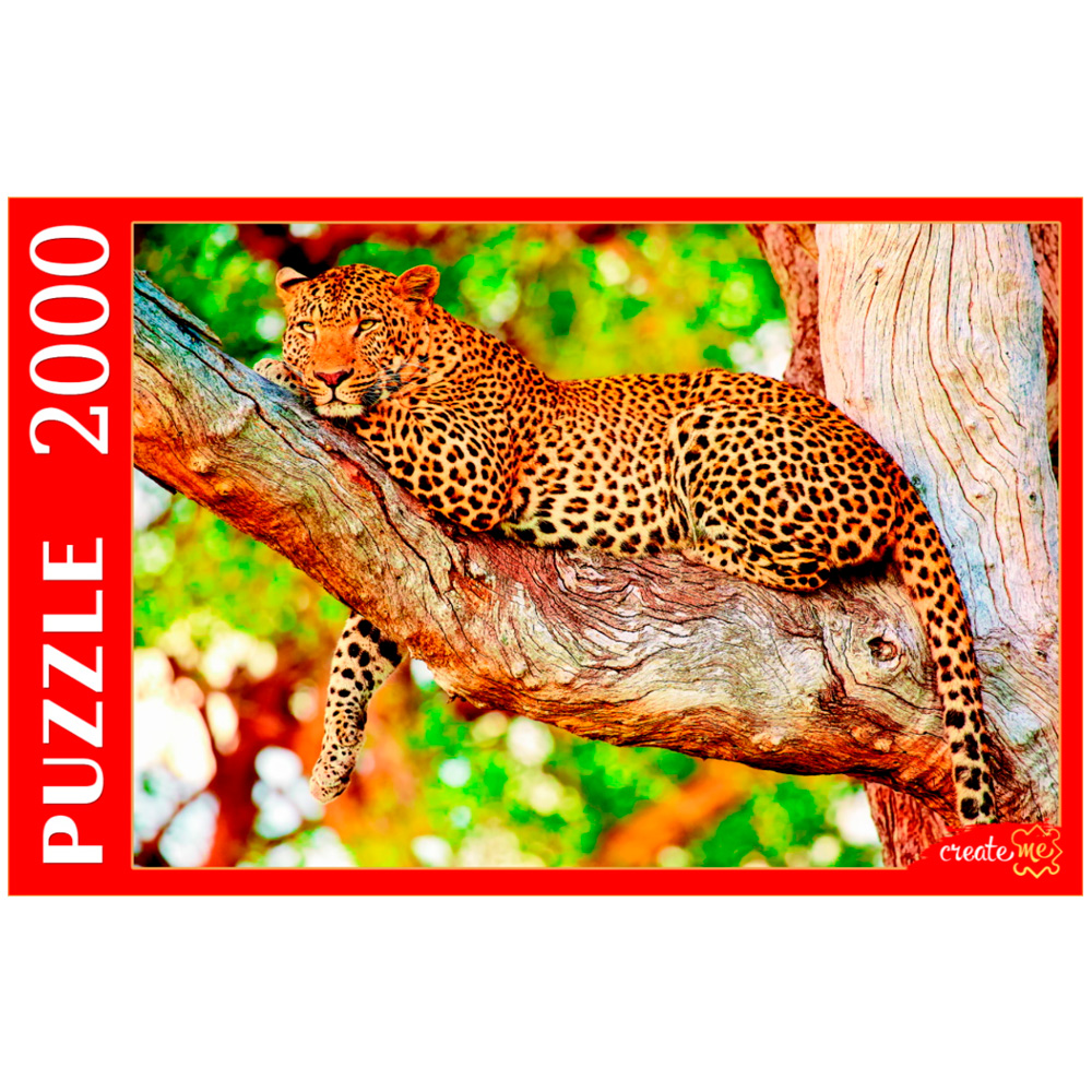 Pazl 2000 / 2707