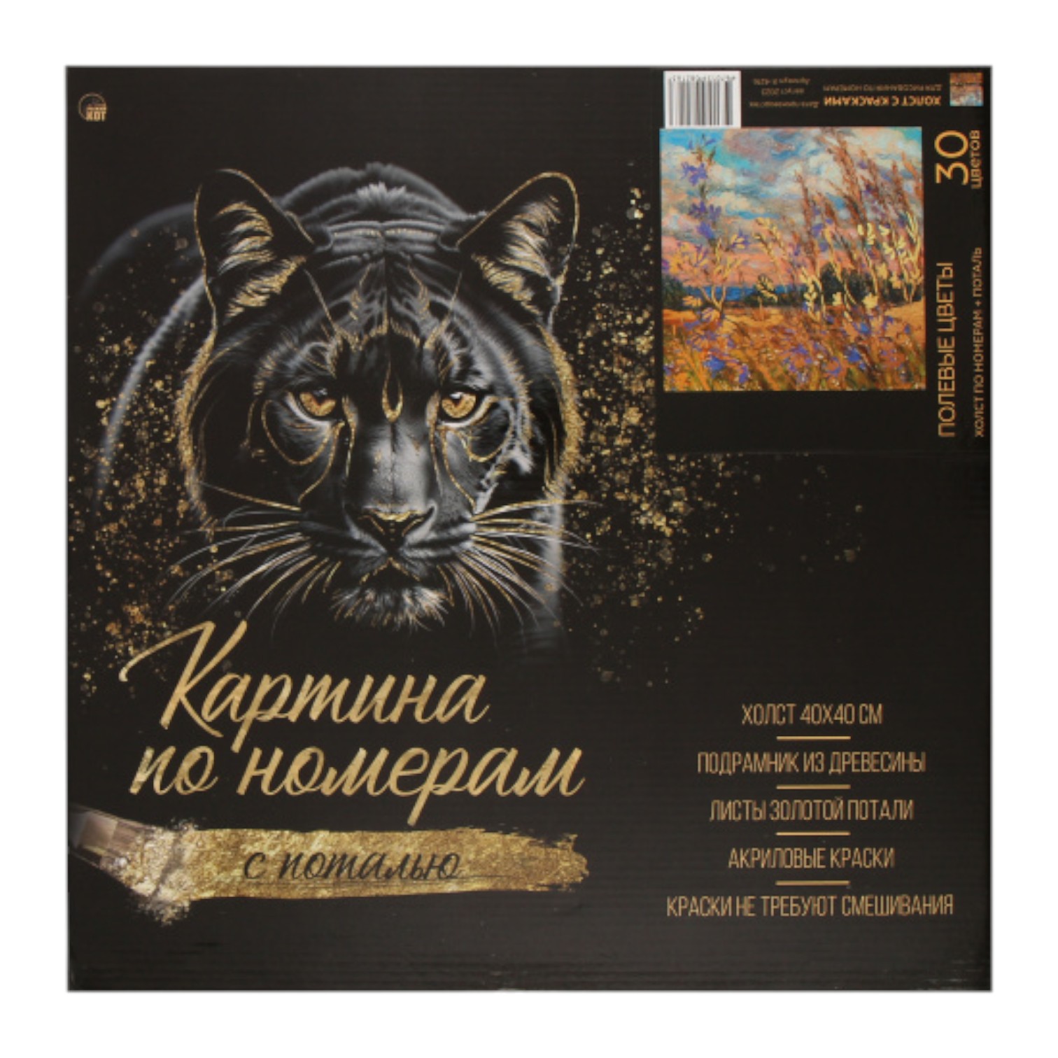 Canvas nömrəli 40*40 + Rənglərlə Hədiyyəlik / Rıjiy kot