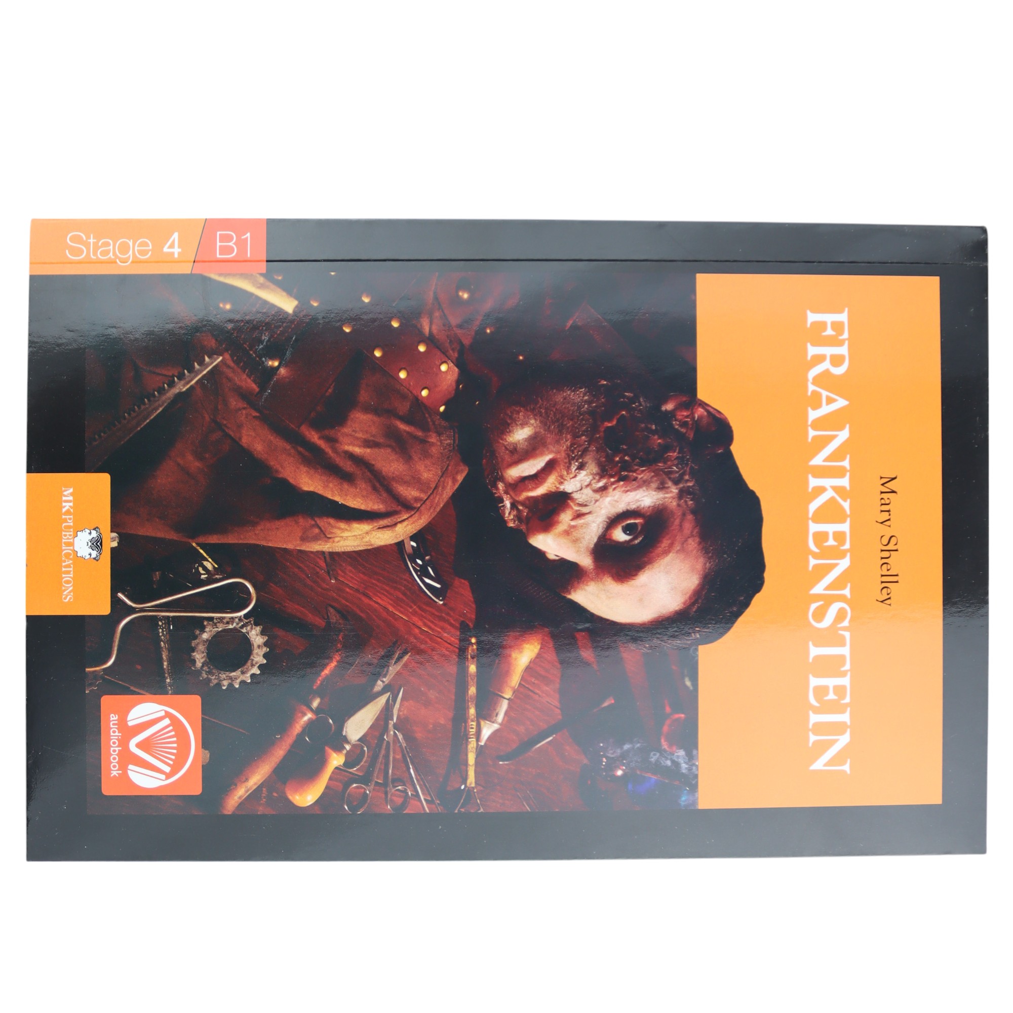Stage-4 B1 Frankenstein