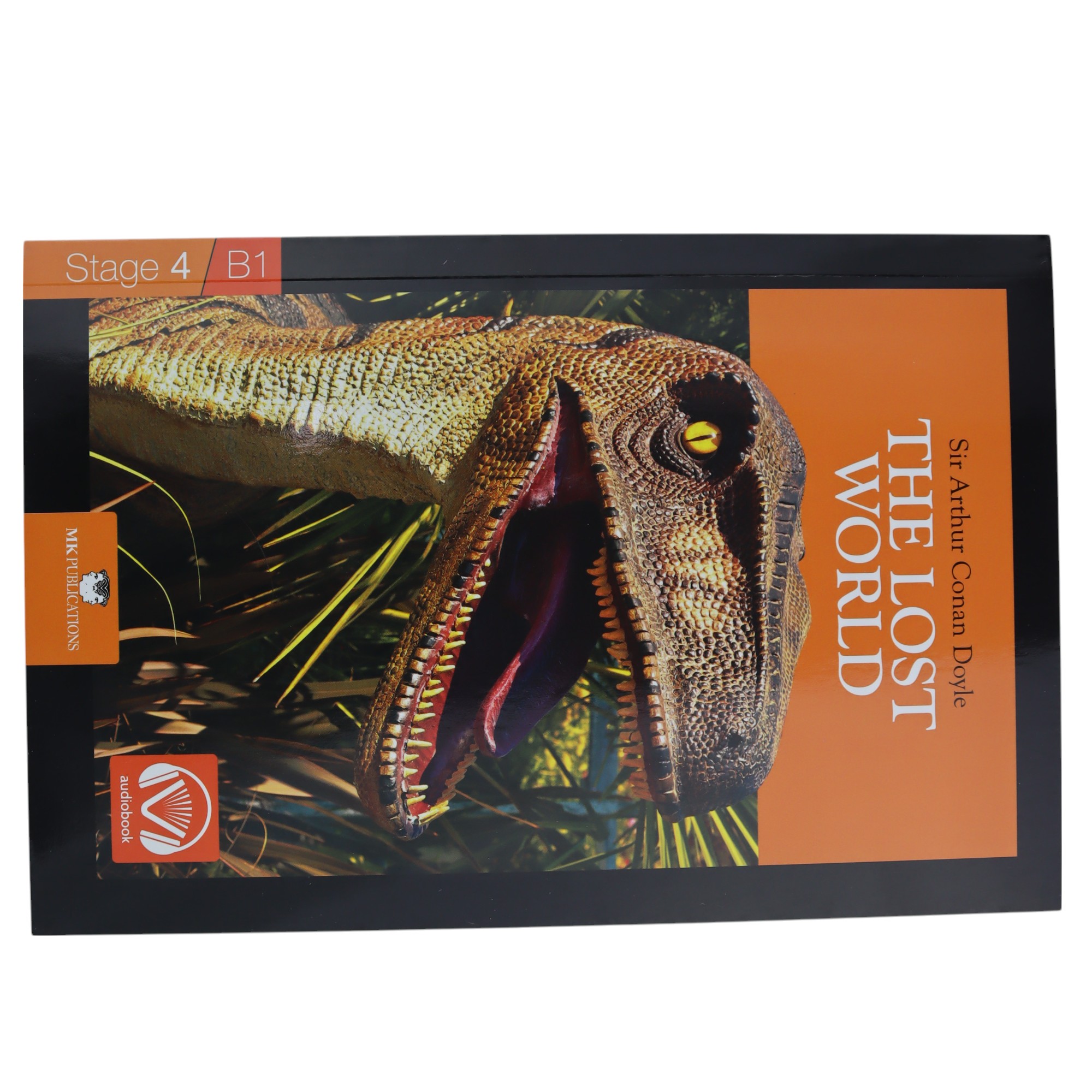 Stage-4 B1 The Lost World