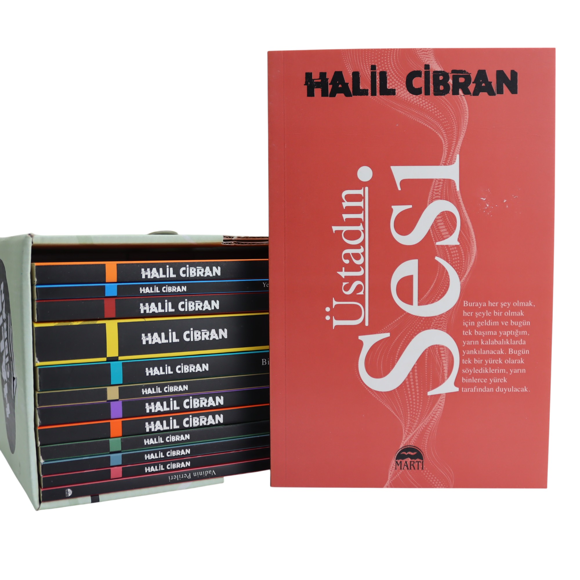 ÜSTADIN SESİ / HALİL CİBRAN
