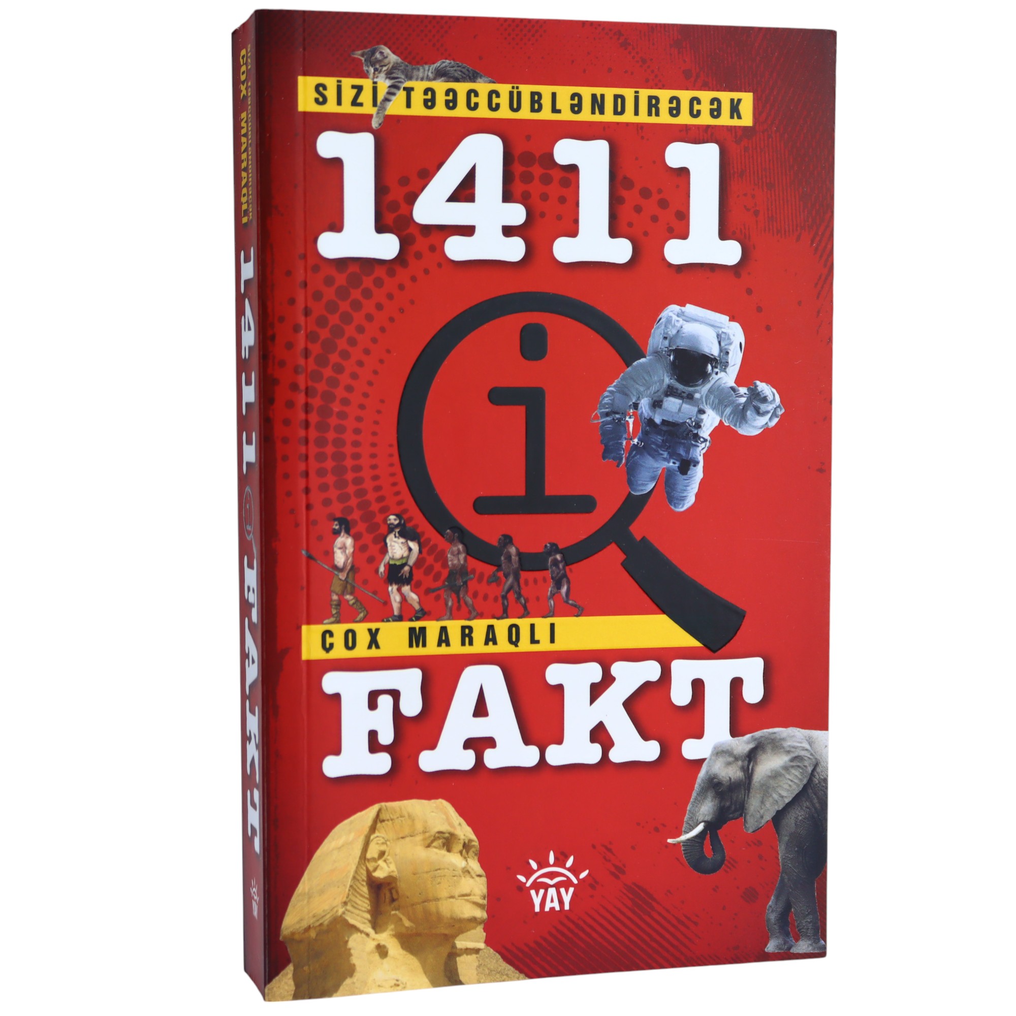 Sizi təəccübləndirəcək 1411 çox maraqlı fakt