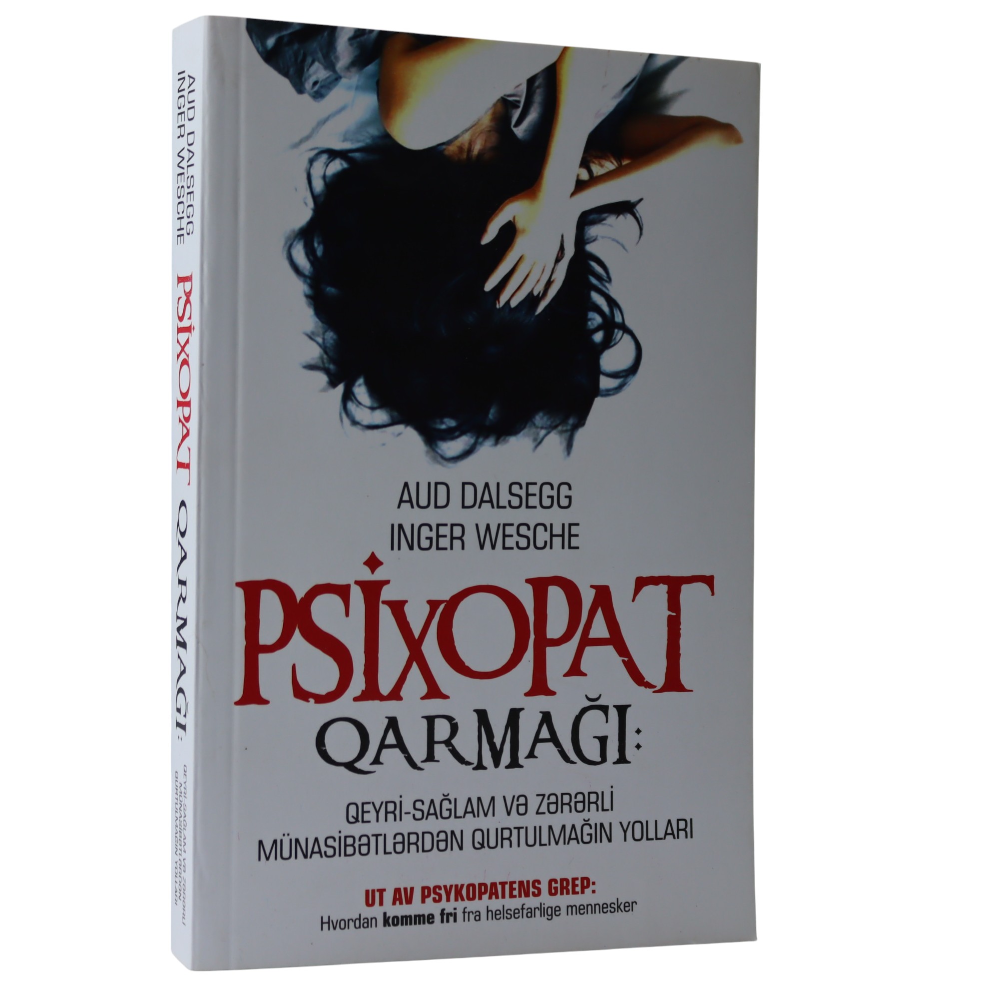 PSIXOPAT QARMAGI - AUD DALSEGG (2019) 14.49 / Qanun Nəşriyyatı