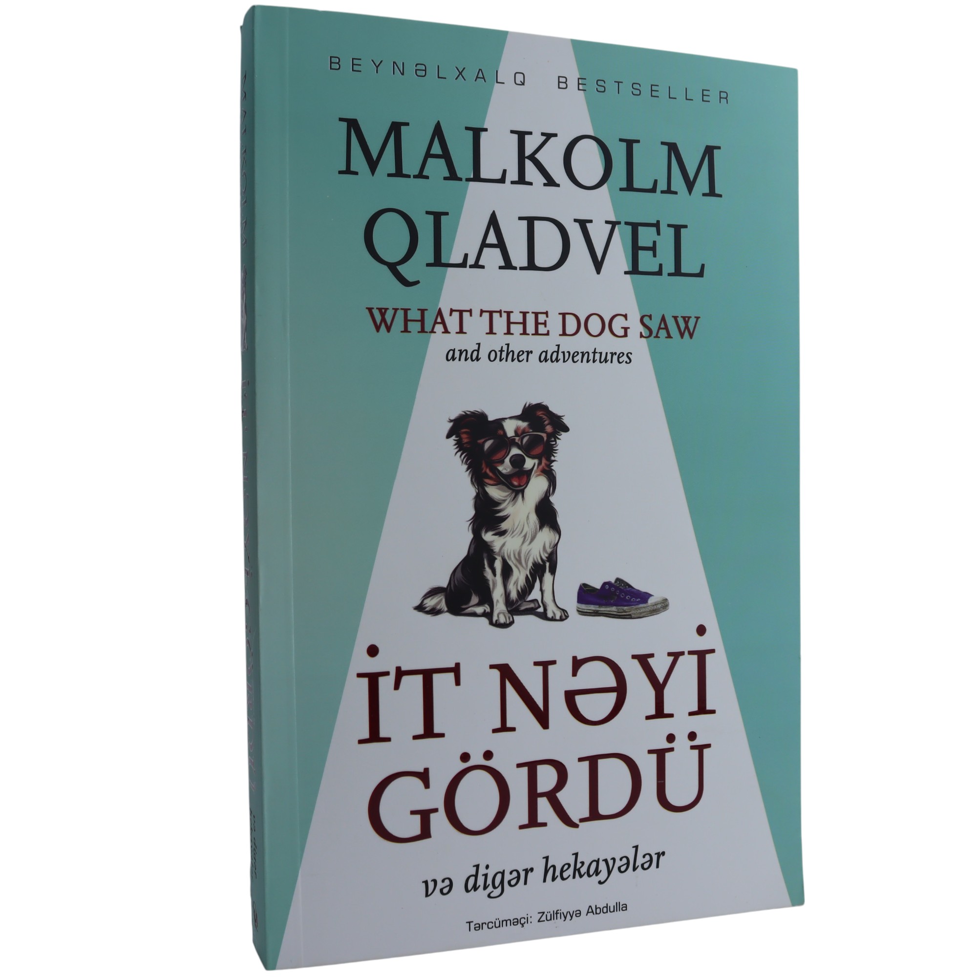 IT NEYI GORDU - MALKOLM QLADVEL   (2024)  16.90 / Qanun Nəşriyyatı